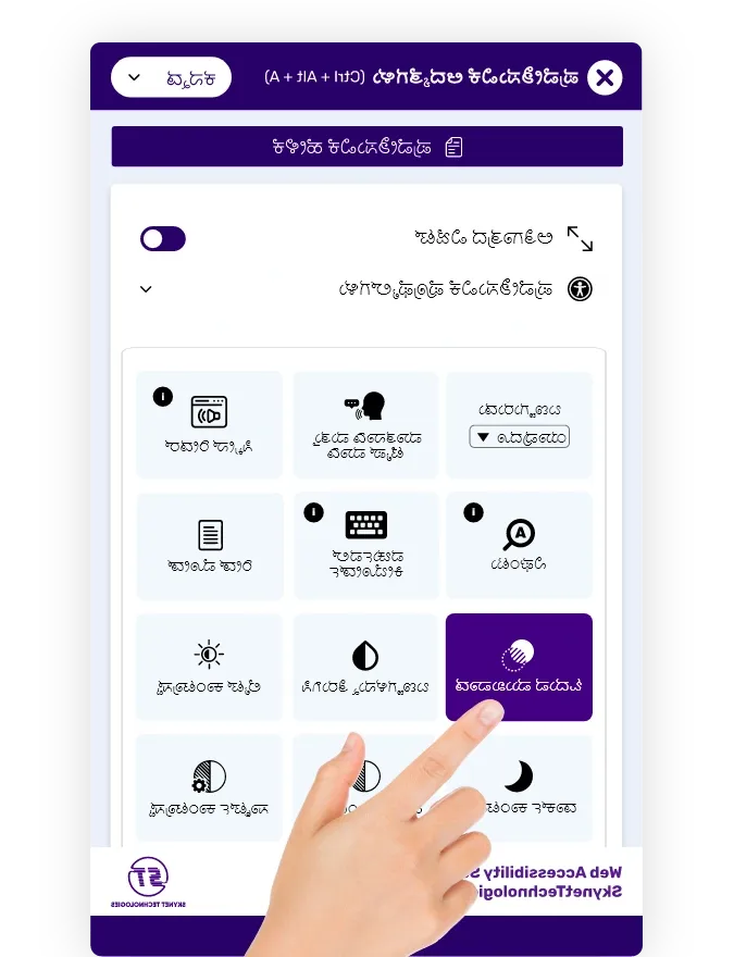 Kannada website accessibility solution