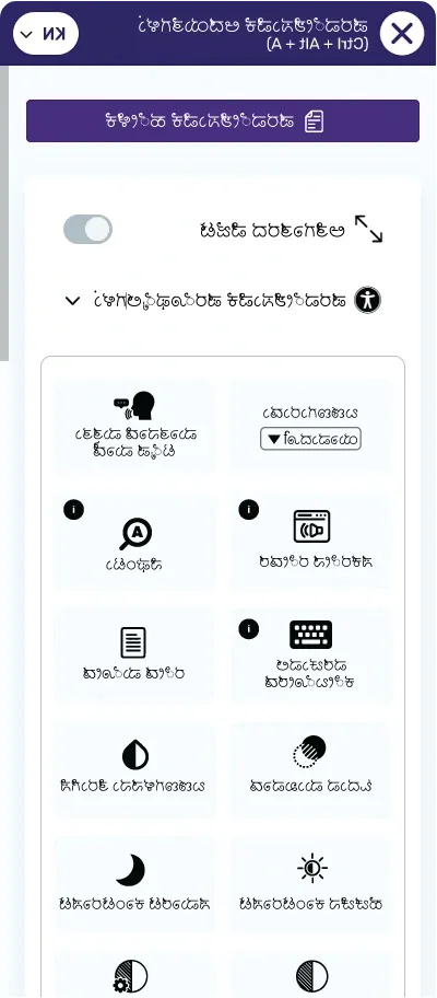 kannada website accessibility widget